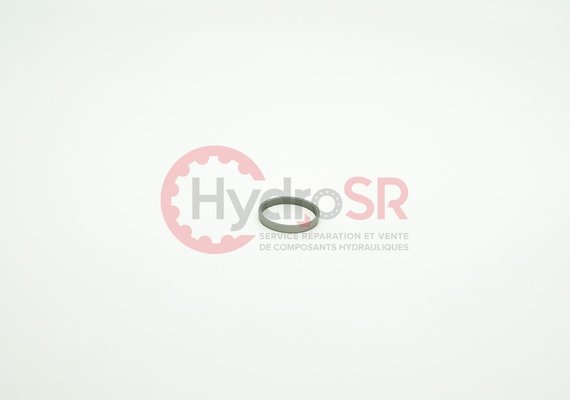 Rexroth - Pièces - Segment de piston