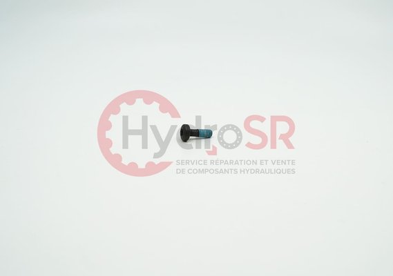 Rexroth - Pièces - Vis de plaque de retenue