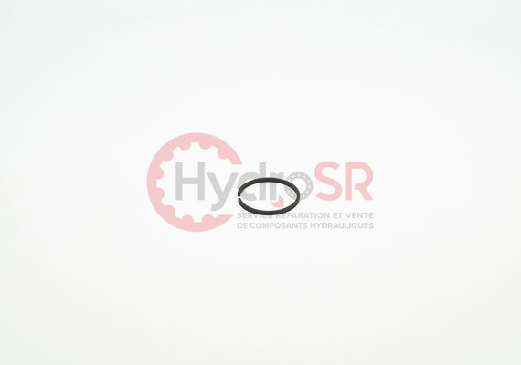 Rexroth - Pièces - Segment de régulation