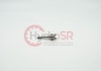 Piston de mesure