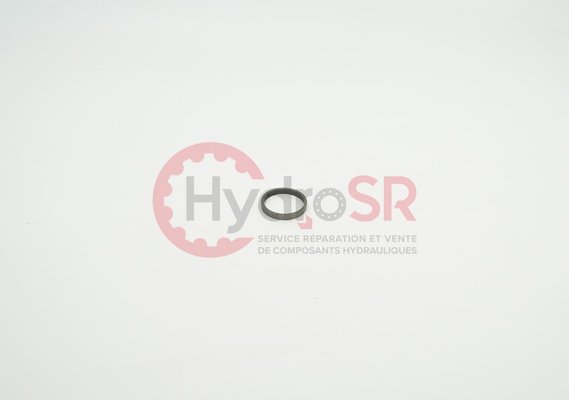 Rexroth - Pièces - Segment de piston