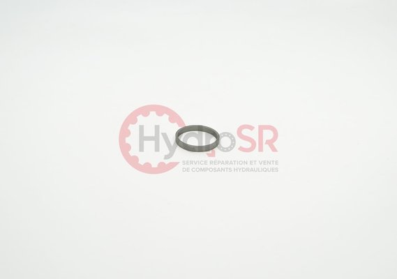 Rexroth - Pièces - Segment de piston